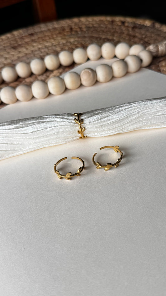 Katy Ring.